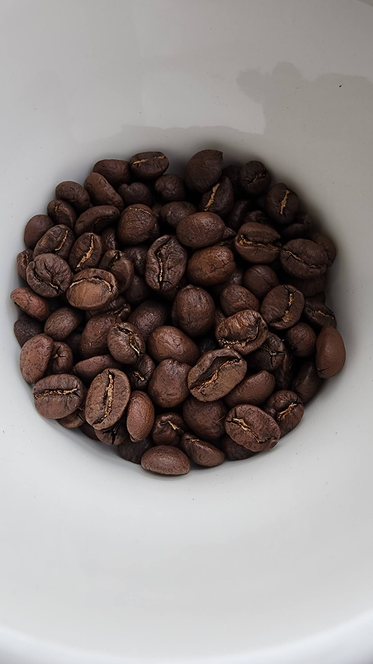 *** LIMITED OFFERING *** Honduras Single Origin Blend (340 GR / 12 OZ)